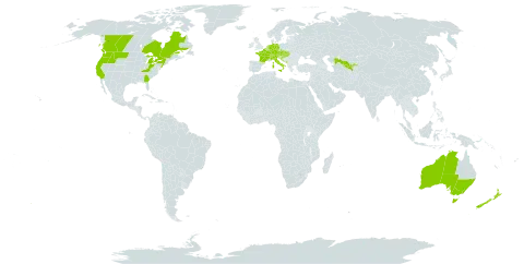 Berberis aquifolium world distribution map, present in Australia, Austria, Belgium, Canada, Switzerland, Czech Republic, Germany, France, United Kingdom of Great Britain and Northern Ireland, Croatia, Hungary, Italy, Liechtenstein, Luxembourg, Montenegro, Netherlands, New Zealand, Serbia, Slovakia, United States of America, and Uzbekistan