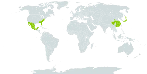 Berberis bealei world distribution map, present in China, Japan, Mexico, and United States of America