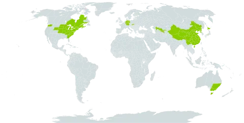 Berberis thunbergii world distribution map, present in Australia, Canada, China, Germany, Japan, Korea (Democratic People's Republic of), Slovakia, United States of America, and Uzbekistan