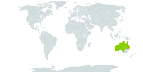 Bergia pedicellaris world distribution map, present in Australia