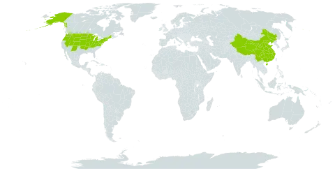 Berteroa world distribution map, present in China and United States of America