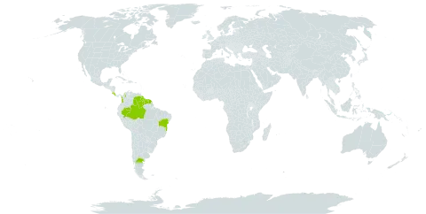 Besleria flavovirens world distribution map, present in Argentina, Brazil, Colombia, Costa Rica, French Guiana, Guyana, Peru, Suriname, and Venezuela (Bolivarian Republic of)