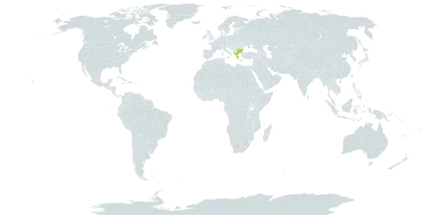 Betonica scardica world distribution map, present in Albania, Bulgaria, and Greece