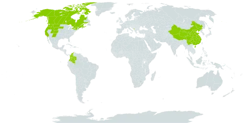 Betula glandulosa world distribution map, present in Canada, China, Colombia, Montenegro, and United States of America