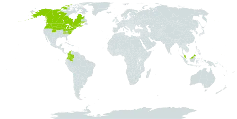 Betula papyrifera world distribution map, present in Canada, Colombia, France, Micronesia (Federated States of), Malaysia, and United States of America