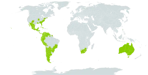 Bidens alba world distribution map, present in Argentina, Australia, Belize, Bolivia (Plurinational State of), Brazil, Chile, Colombia, Costa Rica, Cuba, Ecuador, Guatemala, French Guiana, Guyana, Honduras, Jamaica, Mexico, Panama, Peru, Puerto Rico, Paraguay, El Salvador, Trinidad and Tobago, United States of America, Venezuela (Bolivarian Republic of), and South Africa