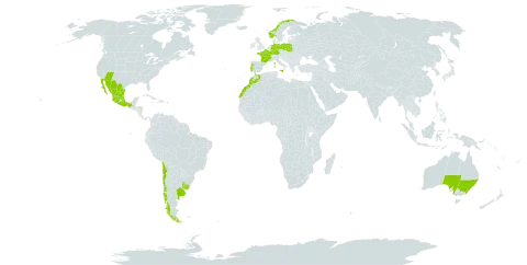 Bidens aurea world distribution map, present in Argentina, Australia, Chile, Germany, Spain, France, Gibraltar, Italy, Morocco, Mexico, Norway, Poland, Portugal, Uruguay, and United States of America