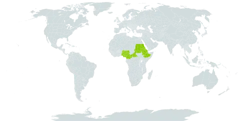 Bidens camporum world distribution map, present in Central African Republic, Cameroon, Eritrea, Ethiopia, United Kingdom of Great Britain and Northern Ireland, Nigeria, and Sudan