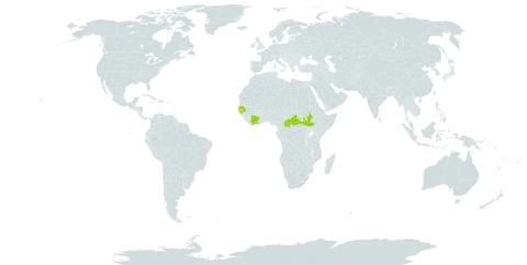 Bidens engleri world distribution map, present in Burkina Faso, Central African Republic, Côte d'Ivoire, Guinea-Bissau, Senegal, and South Sudan