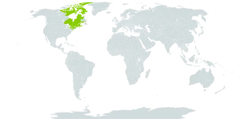 Bidens hyperborea world distribution map, present in Canada and United States of America