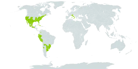 Bidens laevis world distribution map, present in Argentina, Brazil, Colombia, Cuba, Ecuador, Italy, Mexico, Peru, Paraguay, Uruguay, and United States of America