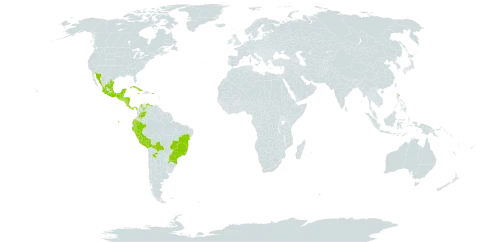 Bidens reptans world distribution map, present in Argentina, Antigua and Barbuda, Belize, Bolivia (Plurinational State of), Brazil, Barbados, Colombia, Costa Rica, Cuba, Dominica, Ecuador, Guadeloupe, Guatemala, Honduras, Jamaica, Saint Lucia, Mexico, Montserrat, Martinique, Nicaragua, Panama, Peru, Puerto Rico, El Salvador, and Venezuela (Bolivarian Republic of)