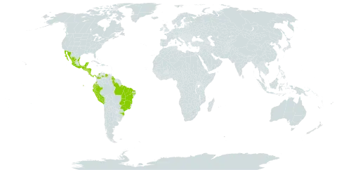 Bidens riparia world distribution map, present in Brazil, Colombia, Costa Rica, Ecuador, Guatemala, Guyana, Honduras, Mexico, Nicaragua, Panama, Peru, El Salvador, and Venezuela (Bolivarian Republic of)