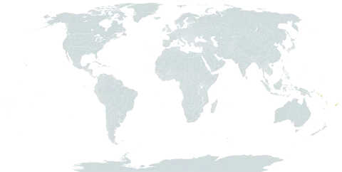 Bikkia tetrandra world distribution map, present in Fiji, Solomon Islands, Tonga, Vanuatu, and Wallis and Futuna