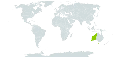 Billardiera ovalis world distribution map, present in Australia