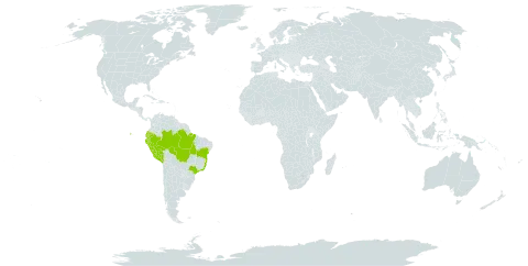 Bixa arborea world distribution map, present in Brazil, Ecuador, and Peru