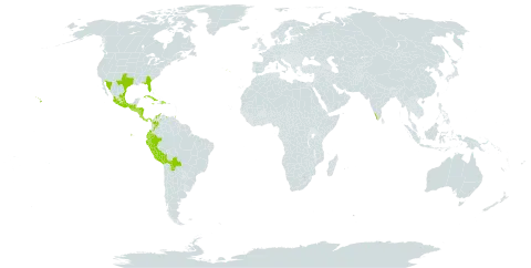 Blechnum appendiculatum world distribution map, present in Bolivia (Plurinational State of), Colombia, Costa Rica, Cuba, Dominican Republic, Ecuador, Guatemala, Honduras, India, Jamaica, Mexico, Nicaragua, Panama, Peru, Portugal, El Salvador, Trinidad and Tobago, United States of America, and Venezuela (Bolivarian Republic of)