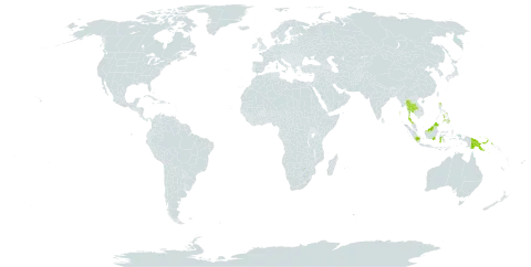 Blechnum finlaysonianum world distribution map, present in Indonesia, India, Malaysia, Philippines, Papua New Guinea, Singapore, and Thailand