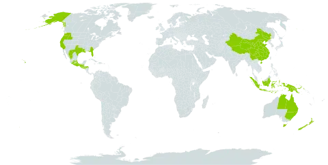 Blechnum world distribution map, present in Australia, China, Cayman Islands, Guatemala, Honduras, Indonesia, Sri Lanka, Mexico, New Zealand, Papua New Guinea, El Salvador, and United States of America