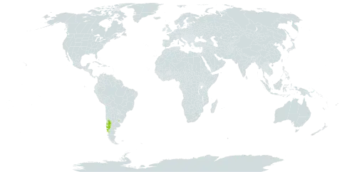 Blechnum microphyllum world distribution map, present in Argentina, Chile, and Uruguay