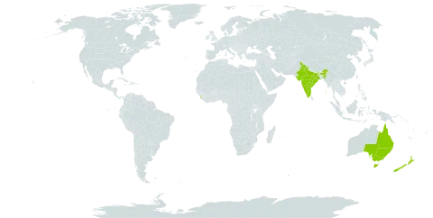 Blechnum spinulosum world distribution map, present in Australia, India, Sri Lanka, New Zealand, and Portugal