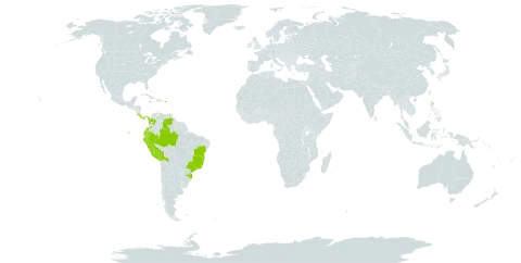 Blotiella lindeniana world distribution map, present in Bolivia (Plurinational State of), Brazil, Colombia, Costa Rica, Ecuador, Jamaica, Martinique, Panama, Peru, Puerto Rico, Trinidad and Tobago, and Venezuela (Bolivarian Republic of)