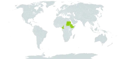 Blumea braunii world distribution map, present in Cameroon, Ethiopia, and Sudan