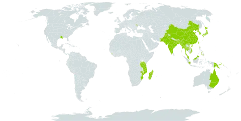 Blyxa aubertii world distribution map, present in Andorra, Australia, Bangladesh, China, Indonesia, India, Iceland, Japan, Korea (Republic of), Sri Lanka, Moldova (Republic of), Madagascar, Myanmar, Mozambique, Malaysia, Nepal, Pakistan, Philippines, Papua New Guinea, Korea (Democratic People's Republic of), Thailand, Taiwan, Province of China, Tanzania, United Republic of, United States of America, and Viet Nam