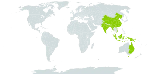 Blyxa octandra world distribution map, present in Andorra, Australia, Bangladesh, China, Indonesia, India, Myanmar, Malaysia, Papua New Guinea, and Viet Nam