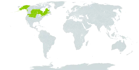 Boechera collinsii world distribution map, present in Canada and United States of America