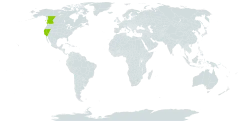 Boechera depauperata world distribution map, present in Canada and United States of America