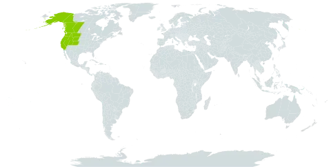 Boechera lemmonii world distribution map, present in Canada and United States of America