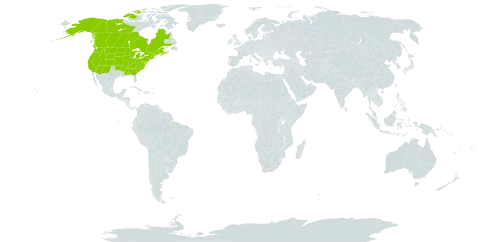 Boechera stricta world distribution map, present in Canada and United States of America