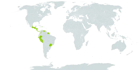 Boehmeria ramiflora world distribution map, present in Bonaire, Sint Eustatius and Saba, Belize, Brazil, Barbados, Colombia, Costa Rica, Dominica, Guadeloupe, Grenada, Guatemala, French Guiana, Honduras, Haiti, Jamaica, Saint Kitts and Nevis, Saint Lucia, Sri Lanka, Mexico, Montserrat, Martinique, Nicaragua, Panama, Peru, Suriname, Trinidad and Tobago, and Venezuela (Bolivarian Republic of)