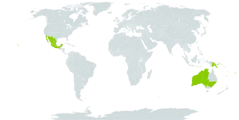 Boerhavia acutifolia world distribution map, present in American Samoa, Australia, Fiji, Guam, Kiribati, Mexico, Marshall Islands, Northern Mariana Islands, Palau, Papua New Guinea, United States Minor Outlying Islands, and United States of America