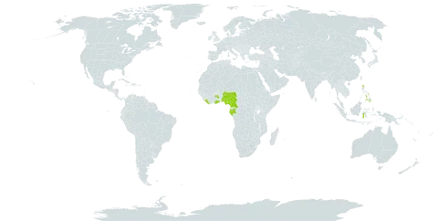 Bolbitis fluviatilis world distribution map, present in Cameroon, Gabon, Ghana, Equatorial Guinea, Indonesia, Liberia, Nigeria, Philippines, and Sao Tome and Principe