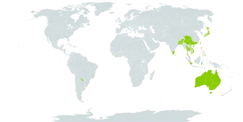 Bolbitis heteroclita world distribution map, present in Argentina, Australia, Bangladesh, China, Micronesia (Federated States of), Indonesia, India, Japan, Sri Lanka, Myanmar, Nepal, Philippines, Papua New Guinea, Puerto Rico, Singapore, Solomon Islands, Thailand, Taiwan, Province of China, and Viet Nam