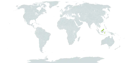 Bolbitis repanda world distribution map, present in Micronesia (Federated States of), Indonesia, Malaysia, Nepal, Philippines, and Uruguay