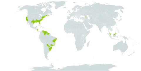 Bolboschoenus robustus world distribution map, present in Åland Islands, Bahamas, Bermuda, Brazil, Canada, Georgia, Guyana, Malaysia, Nicaragua, Paraguay, Suriname, Uruguay, United States of America, and Venezuela (Bolivarian Republic of)