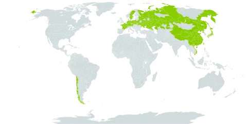 Bolboschoenus yagara world distribution map, present in Austria, Belarus, Switzerland, Chile, China, Czech Republic, Germany, France, Japan, Kazakhstan, Poland, Korea (Democratic People's Republic of), Russian Federation, Sweden, Taiwan, Province of China, Ukraine, and Viet Nam