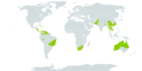 Bombax ceiba world distribution map, present in Australia, Bangladesh, Belize, Brazil, Bhutan, China, Colombia, Costa Rica, Cuba, Guadeloupe, Guyana, Honduras, Indonesia, India, Cambodia, Lao People's Democratic Republic, Sri Lanka, Nicaragua, Nepal, Pakistan, Panama, Philippines, Thailand, Trinidad and Tobago, Taiwan, Province of China, Venezuela (Bolivarian Republic of), Viet Nam, and South Africa