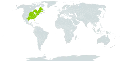 Borodinia canadensis world distribution map, present in Canada and United States of America