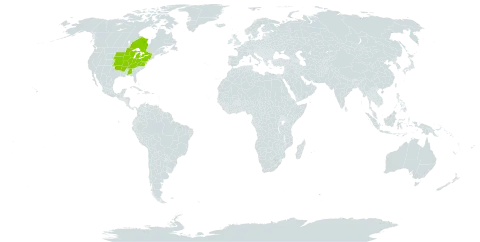 Borodinia dentata world distribution map, present in Canada and United States of America