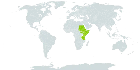 Boscia coriacea world distribution map, present in Eritrea, Ethiopia, Kenya, Sudan, Somalia, South Sudan, Tanzania, United Republic of, and Uganda