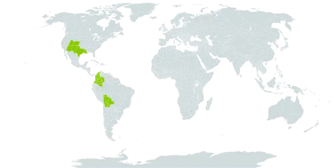 Bothriochloa springfieldii world distribution map, present in Bolivia (Plurinational State of), Colombia, and United States of America