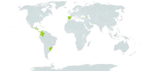 Bothriochloa torreyana world distribution map, present in Åland Islands, Brazil, Colombia, Spain, Georgia, Guatemala, Honduras, Panama, and Uruguay