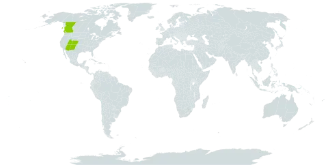 Botrychium echo world distribution map, present in Canada and United States of America