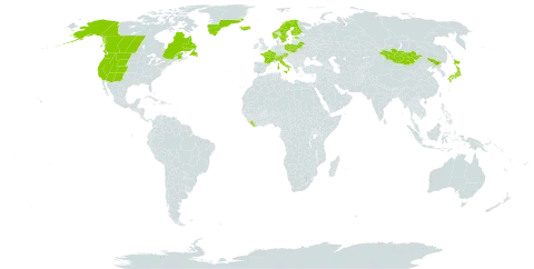 Botrychium lanceolatum subsp. lanceolatum world distribution map, present in Austria, Belarus, Canada, Switzerland, China, Estonia, Finland, France, Greenland, Iceland, Italy, Japan, Liberia, Mongolia, Norway, Poland, Sweden, and United States of America