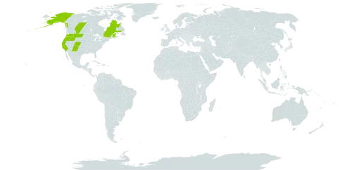 Botrychium lineare world distribution map, present in Canada and United States of America