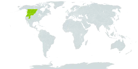 Botrychium paradoxum world distribution map, present in Canada and United States of America